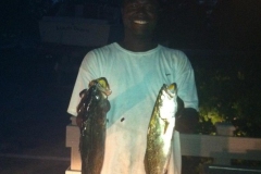 280895_436854163023323_646993357_o