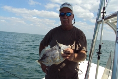 341160_434010136641059_1136865652_o