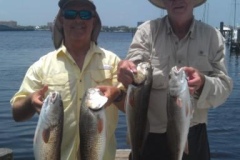 378293_434001743308565_458635031_n