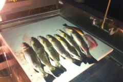 210888_436854309689975_1902577219_o