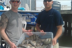 546631_434002123308527_87455522_n